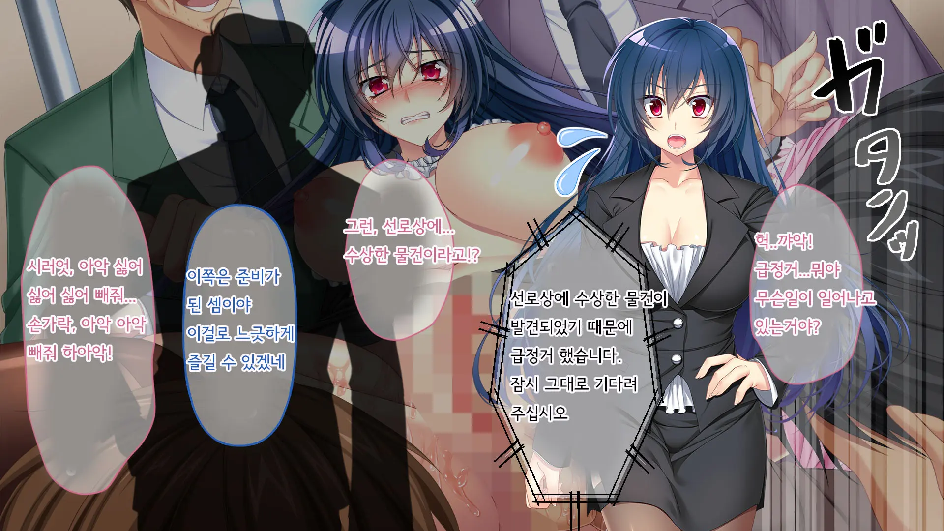 Nigeba Nashi! Misshitsu Chikan Densha ~ Otori Sosakan No Hamerare Jigoku | 도망칠수 없어! 밀실치한전차 ~함정수사관의 삽입지옥~
